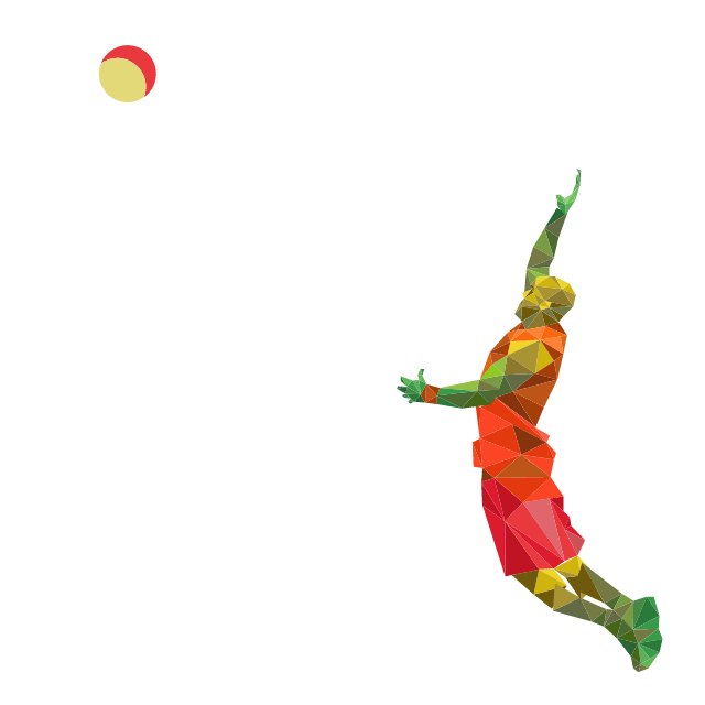 17124 olympic basketball jump